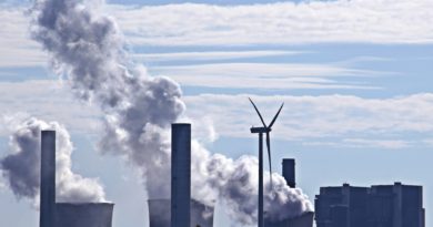 „Grüne“ oder „braune“ Investments – entsteht eine neue Blase? „Grüne“ oder „braune“ Investments – entsteht eine neue Blase?