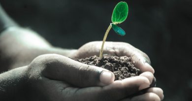 Streitpunkt Wachstum – Wirtschaftsforscher legen neuen Konsensvorschlag vor Streitpunkt Wachstum – Wirtschaftsforscher legen neuen Konsensvorschlag vor